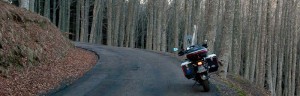 Min BMW R1150GS og tett skog